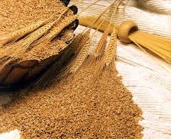 مصرف سبوس گندم جهت درمان یبوست